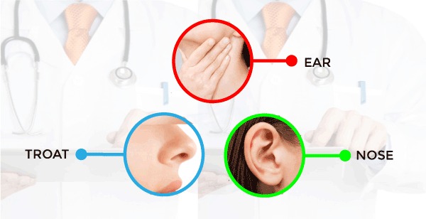 ENT merujuk kepada "Ear, Nose, and Throat" atau "Telinga, Hidung, dan Tekak" dalam Bahasa Melayu