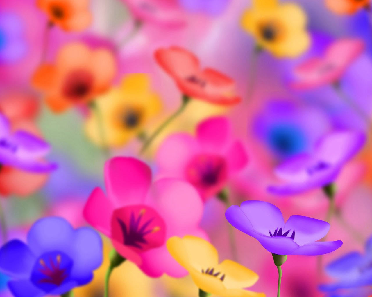 flowers for flower lovers.: Flowers background desktop wallpapers.