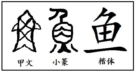 漢字考古学の道 漢字の由来と成り立ちから人間社会の歴史を遡る 漢字 魚 の起源と由来 象形文字 魚そのもの