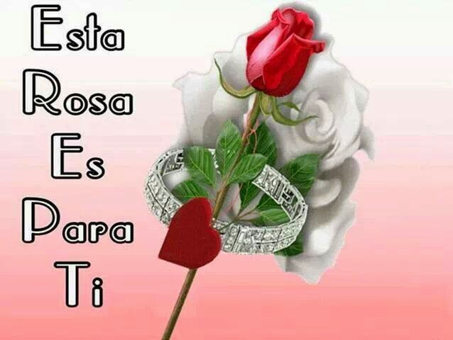 Esta rosa es para ti