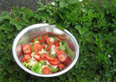  Erdbeer-Spargel-Salat