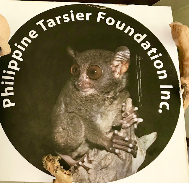 Philippines-Tarsier-Foundation