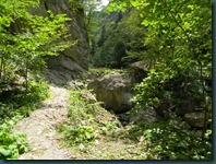 DSCN4003
