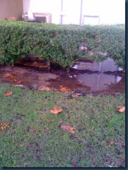 flooding at apartments on ground level