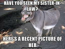 Funny Sister in Law Jokes Humor Fun Images Download