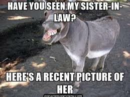 Funny Sister in Law Jokes Humor Fun memes Download