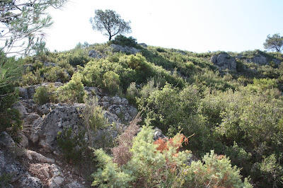 LA JUNCOSA DEL MONTMELL - BAIX PENEDÈS, corriol en direcció al Puig de la Talaia