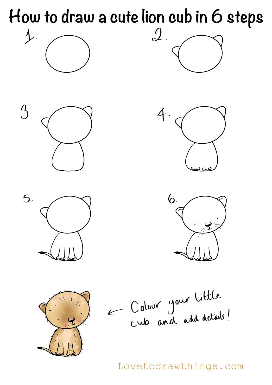 How to draw a cute lion cub in 6 steps