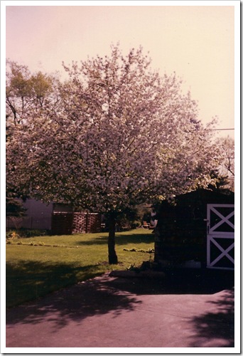 MILLER House, 375 Oak, Elmhurst 005