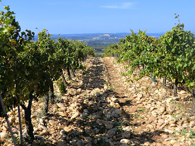 Chateauneuf du pape vineyard visit 296556-Chateauneuf du pape vineyard visit