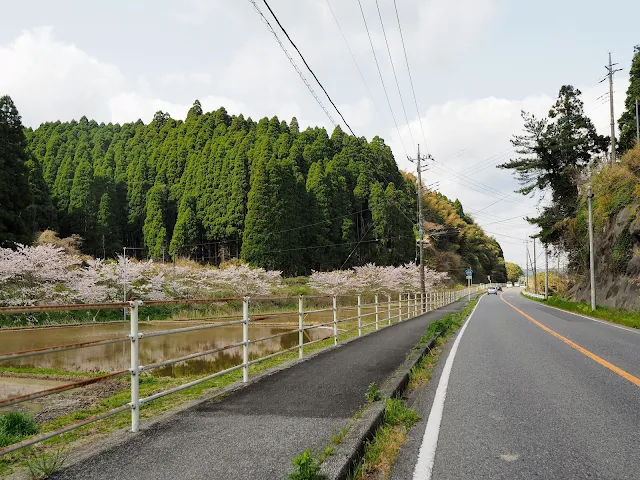 いすみ　国道465号