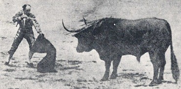 Guerrita con Cocinero 001