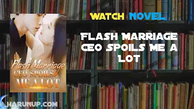 Flash Marriage CEO Spoils Me a Lot Novel
