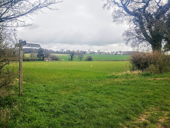 The junction with Graveley footpath 7 mentioned in point 6 below