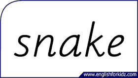 snake flashcard, single word