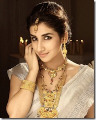 parul-gulati-in-saree-photos