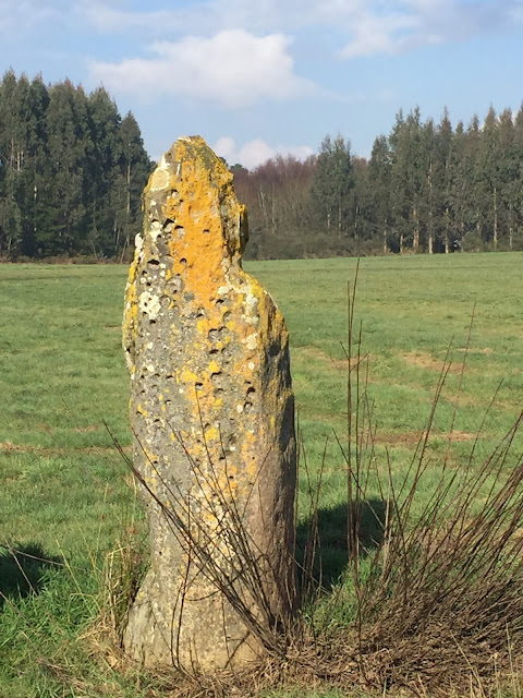 Megalithican Iberia: Menhir of Pedra Chantada / Menhir de Pedra Chantada en Santaballa (Vilalba, Lugo) by E.V.Pita