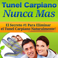 "Túnel Carpiano Nunca Más"