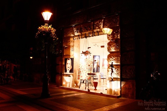 window_20111010_galleri