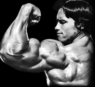 arnold schwarzenegger workout routine. arnold schwarzenegger workout