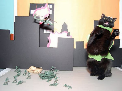 Watch as Catzilla Attacks Seen On www.coolpicturegallery.us