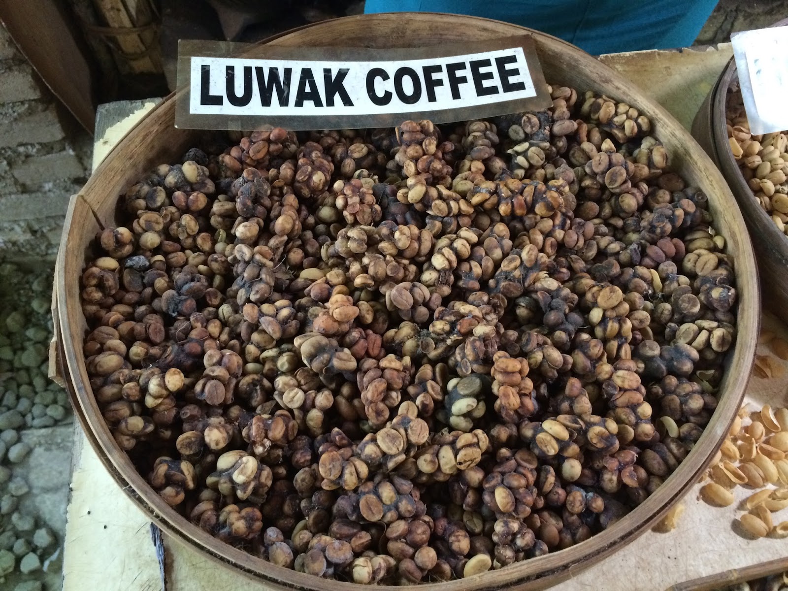 Baturiti Luwak  Coffee  Ubud Bali Travel is my favorite 