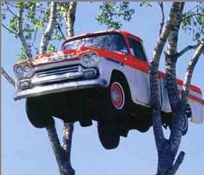 Truck In The Tree Seen On coolpicturesgallery.blogspot.com Or www.CoolPictureGallery.com