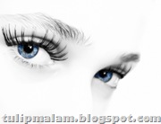 Eyes_slide_show