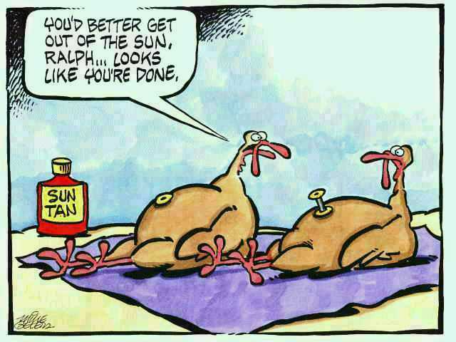 Thanksgiving Cartoon