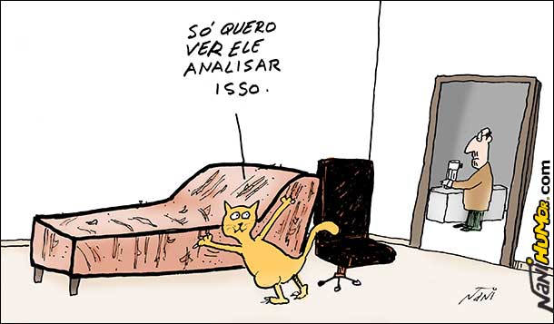 Analista