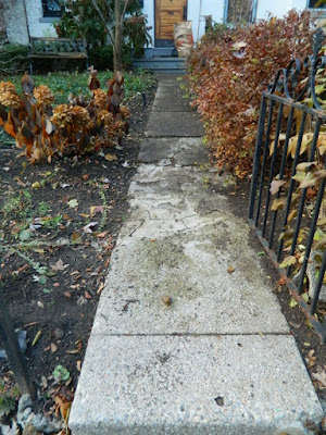 Toronto Cabbagetown Fall Front Yard Garden Cleanup by Paul Jung Gardening Services after