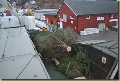 Loaded Trees