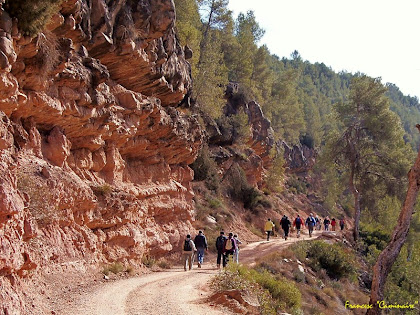 Planejant sota la Serra de les Roures. Autor: Francesc "Caminaire"