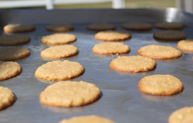 baked these are a do si dos copycat Girl Scout Cookie