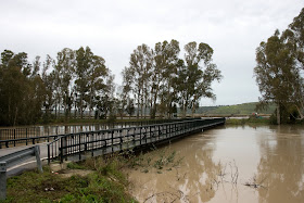 Puente de 'La Greduela'. Jerez