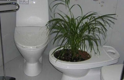 unusual toilets