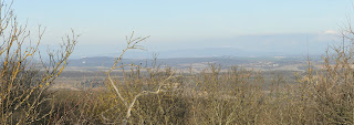 Panoráma É-i irányba a Zuppa-tetőről, távolban a Pilis