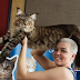 Com 1,30m, gato brasileiro Xartrux pode receber título de maior do mundo pelo Guinness Book