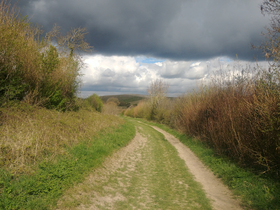 A byway on Walk 125: Weston NE Loop