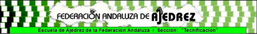 Tecnificación