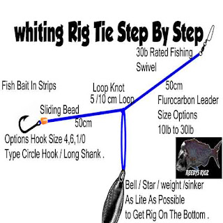 whiting rig , fishing rig , whiting rig , bottom rig , diagram bottom rig, make whiting rig