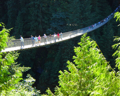 Forest Gulp: Capilano Suspension Bridge, North Vancouver, British Columbia