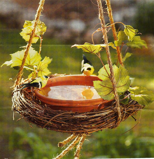 Simple birdbath made from a grapevine wreath, terracotta saucer, and 
