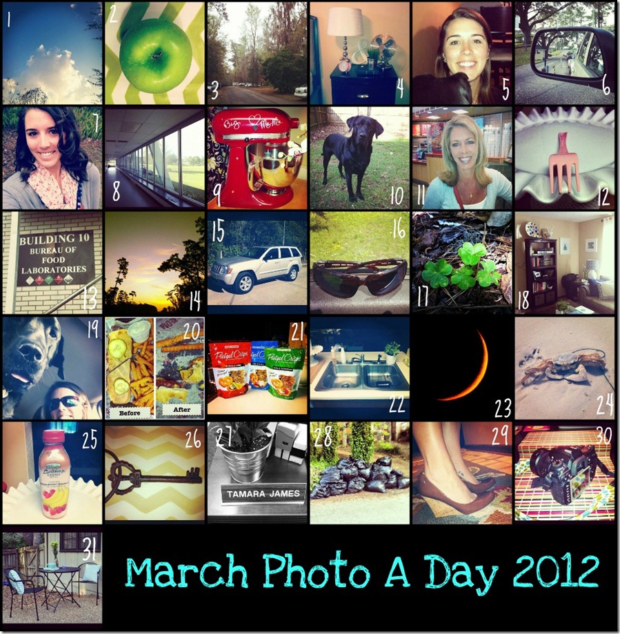marchphotoaday-final