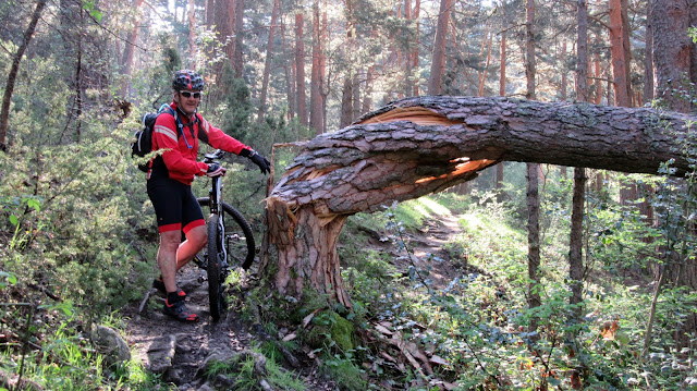 AlfonsoyAmigos - Rutas MTB - Pino Solitario