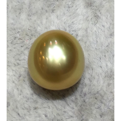 Contact Us Lombok Golden South Sea Pearls