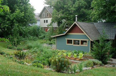 vegetable gardens lately.