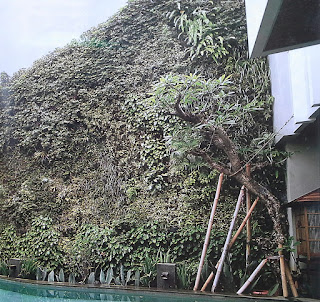 Taman Vertikal | Vertical Garden | jasataman.co.id VI