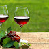 Wine And our Health important post For the user of Wine 