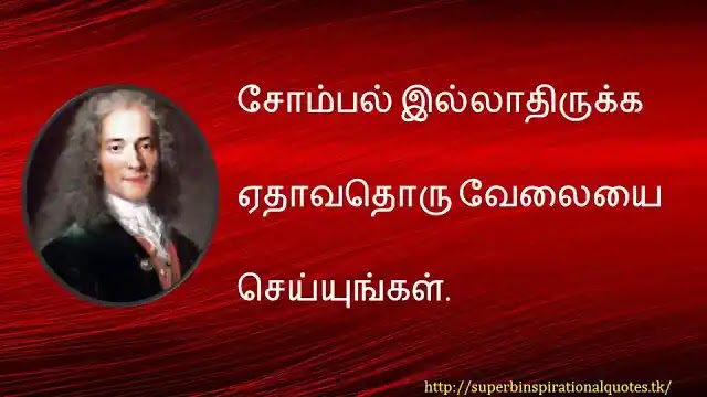 Voltaire inspirational words in tamil 16